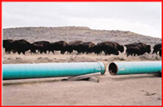 Western Pipelining Photo